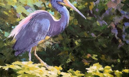 BAA ‘Unveils’ 62nd Annual Spring Art Exhibit