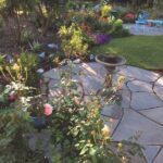 Dreaming of Spring Gardening