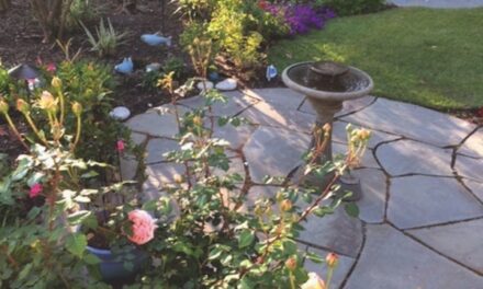 Dreaming of Spring Gardening
