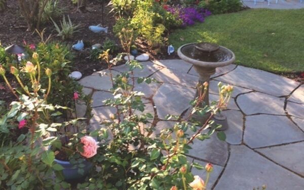 Dreaming of Spring Gardening