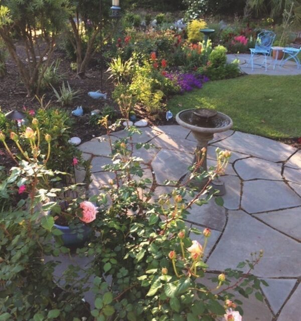 Dreaming of Spring Gardening