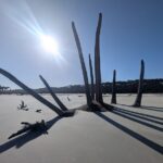 Boneyard Reach