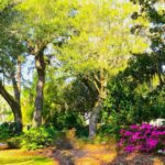 Beaufort Garden Club Hosts 31st Annual Garden A Day