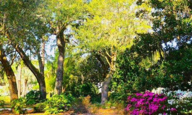 Beaufort Garden Club Hosts 31st Annual Garden A Day