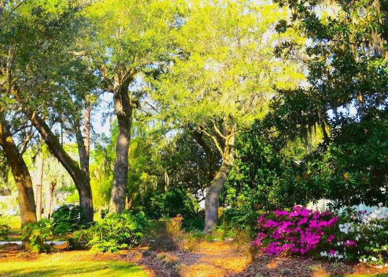 Beaufort Garden Club Hosts 31st Annual Garden A Day