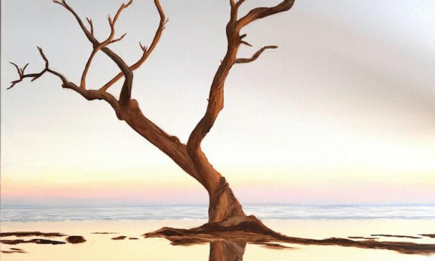 ‘Moments of Stillness’ Featuring Carol Dulude