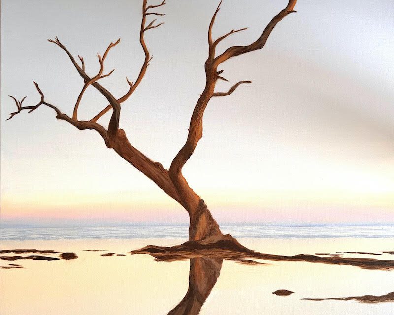‘Moments of Stillness’ Featuring Carol Dulude