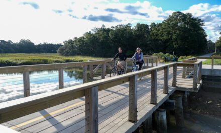 Let’s Celebrate the Spanish Moss Trail!