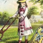 The Great American Lawn – Why?
