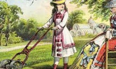 The Great American Lawn – Why?