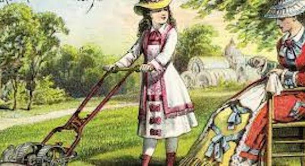 The Great American Lawn – Why?