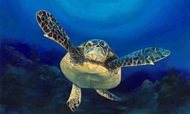 Halfway Home: An Art Exhibit Supporting Sea Turtle Patrol HHI