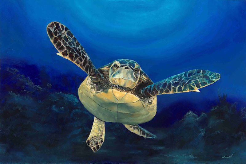 Halfway Home: An Art Exhibit Supporting Sea Turtle Patrol HHI