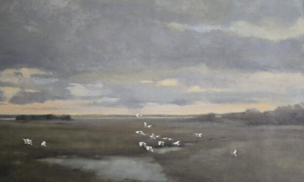 Wings Over the Lowcountry